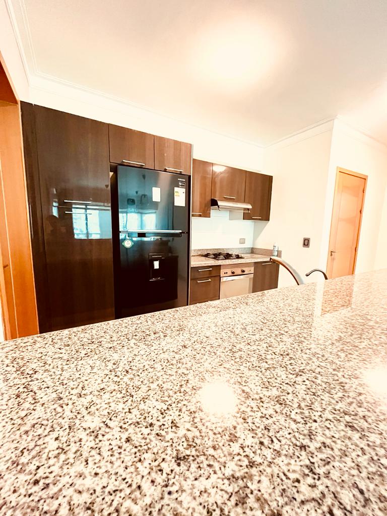 apartamentos - Alquilo apartamento amueblado en Gazcue  6