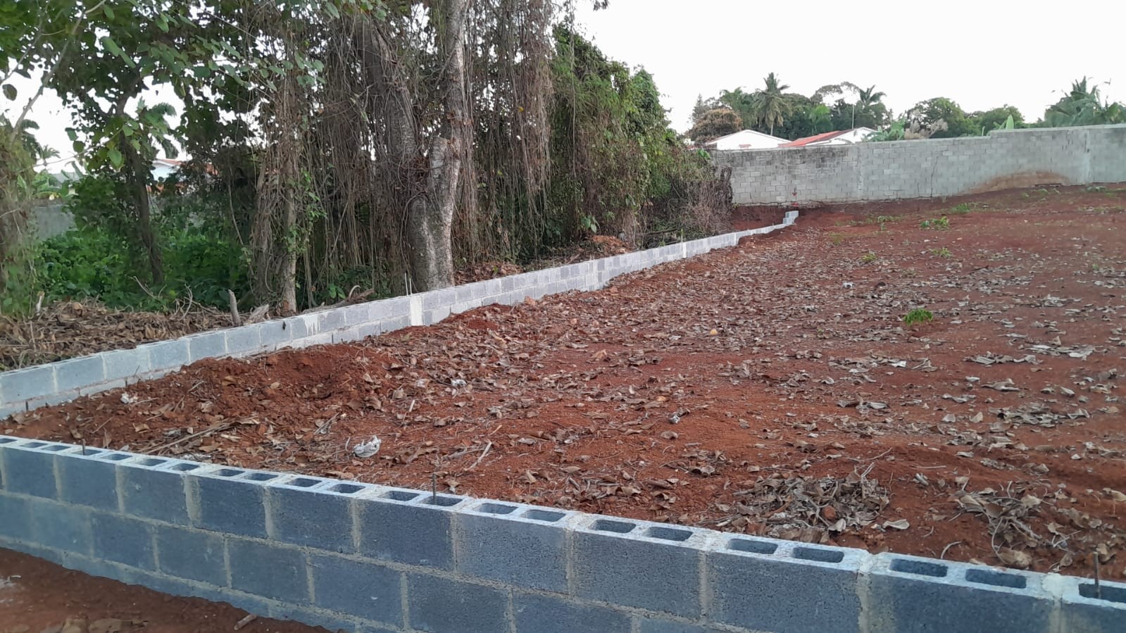 solares y terrenos -  Terreno cerca del Hotel "Villa Serena",  Las Galeras 3