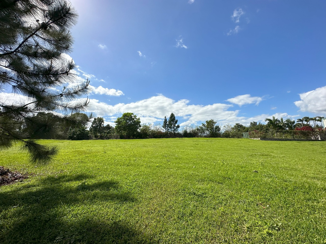 solares y terrenos - VENTA DE SOLAR EN JARABACOA 2