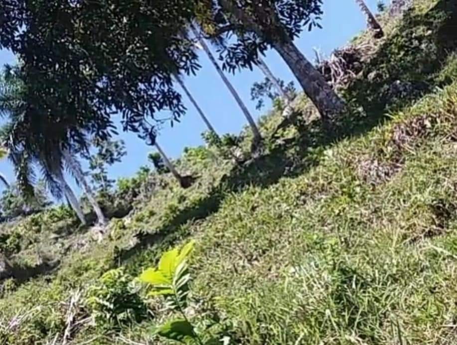 solares y terrenos - Se vende terreno en Samaná 1