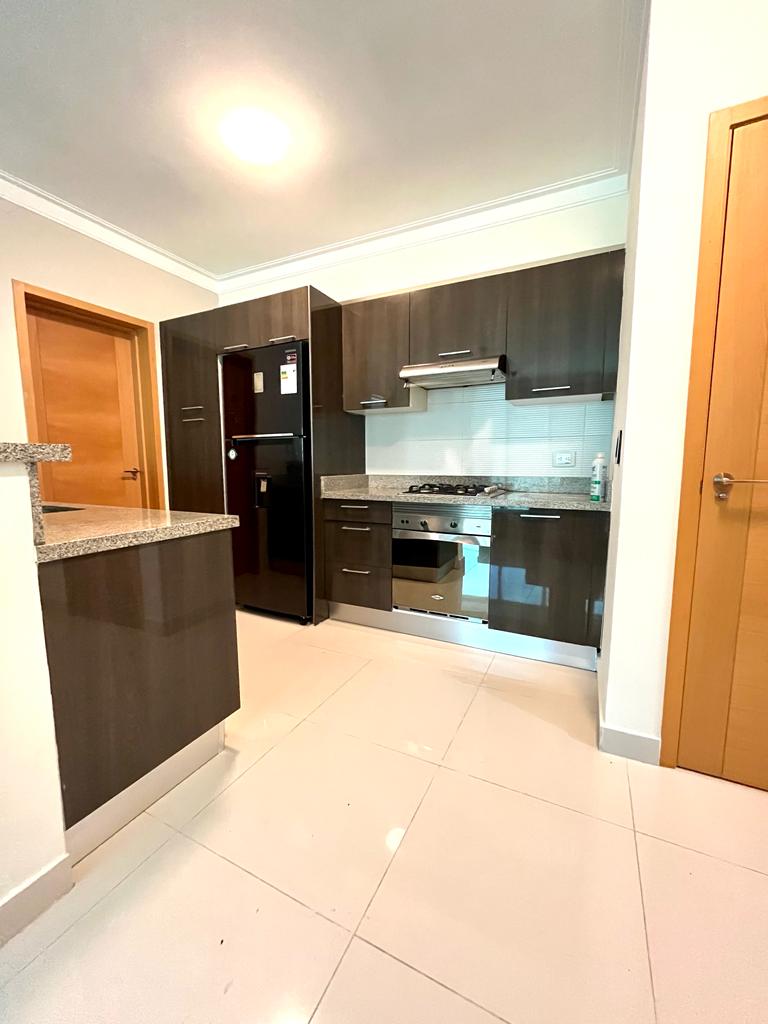 apartamentos - Alquilo apartamento amueblado en Gazcue  7