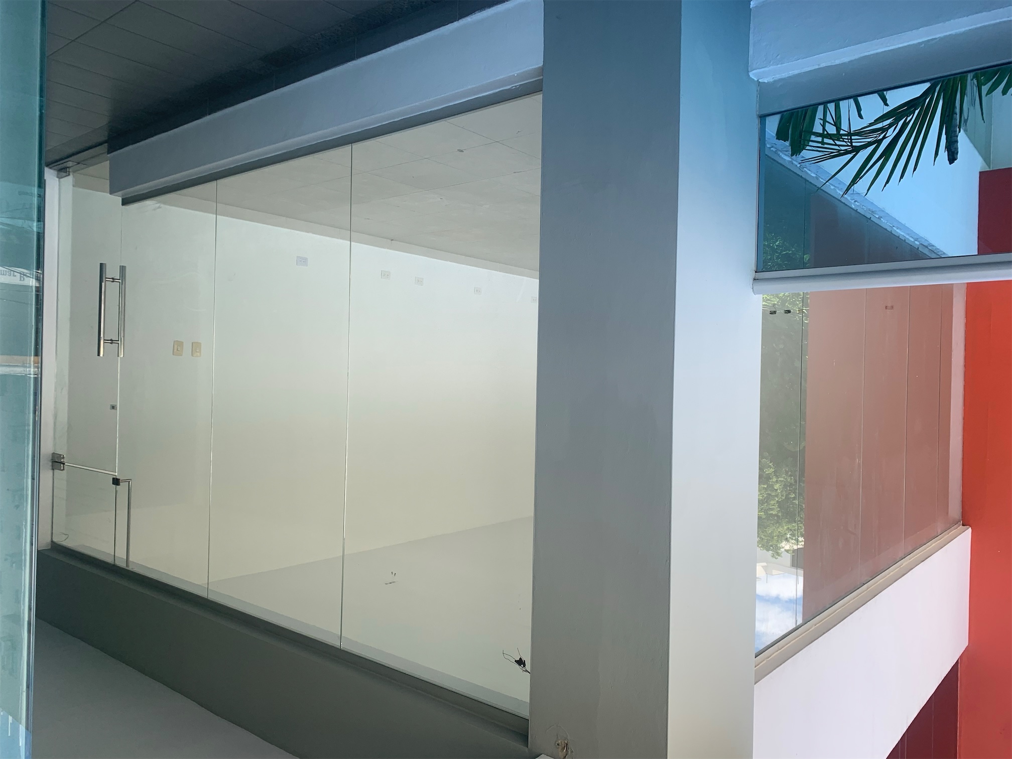 oficinas y locales comerciales - Local esquinero céntrico 6