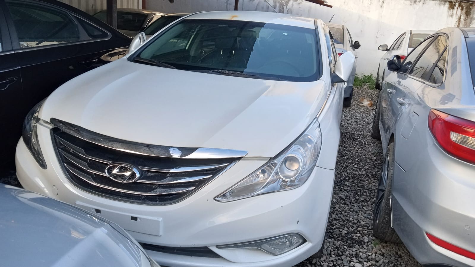carros - HYUNDAI SONATA Y20 2016 BLANCO
DESDE: RD$ 585,100