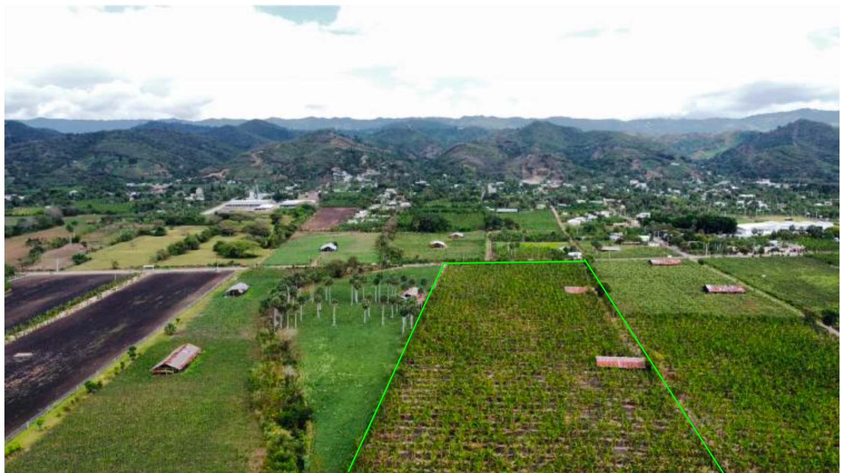 solares y terrenos - Terreno / Finca / Solar Con Titulo Y Deslinde: 39,766m2 (64 Tareas) En MOCA 1