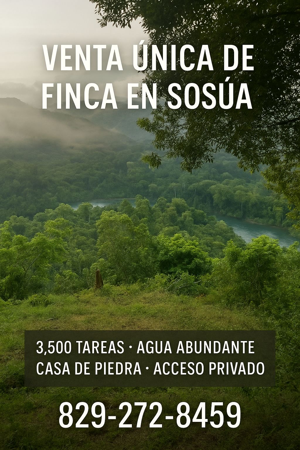 solares y terrenos - Venta de finca en Sosúa 3500 t 