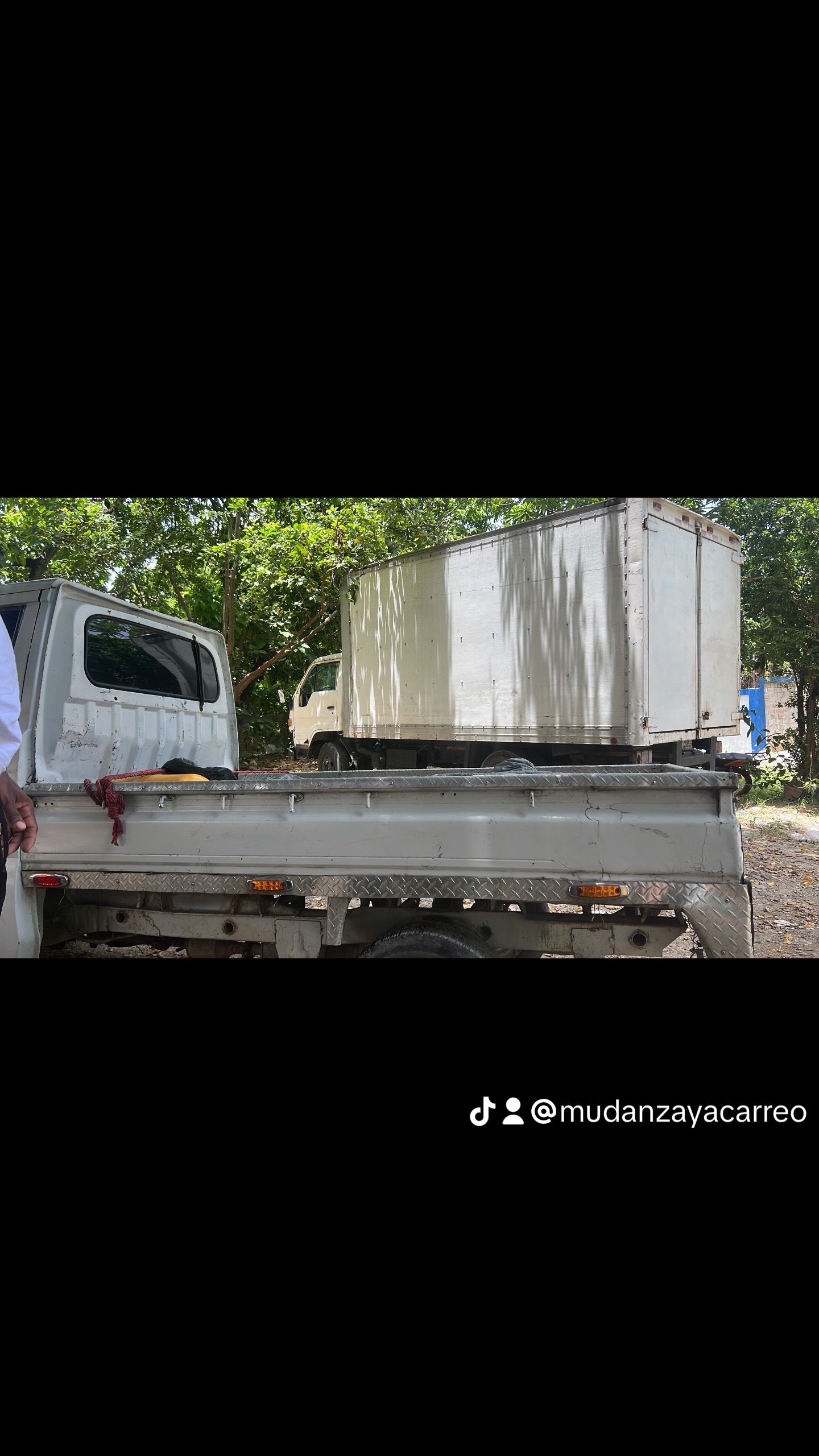 servicios profesionales - mudanza Santo Domingo  2