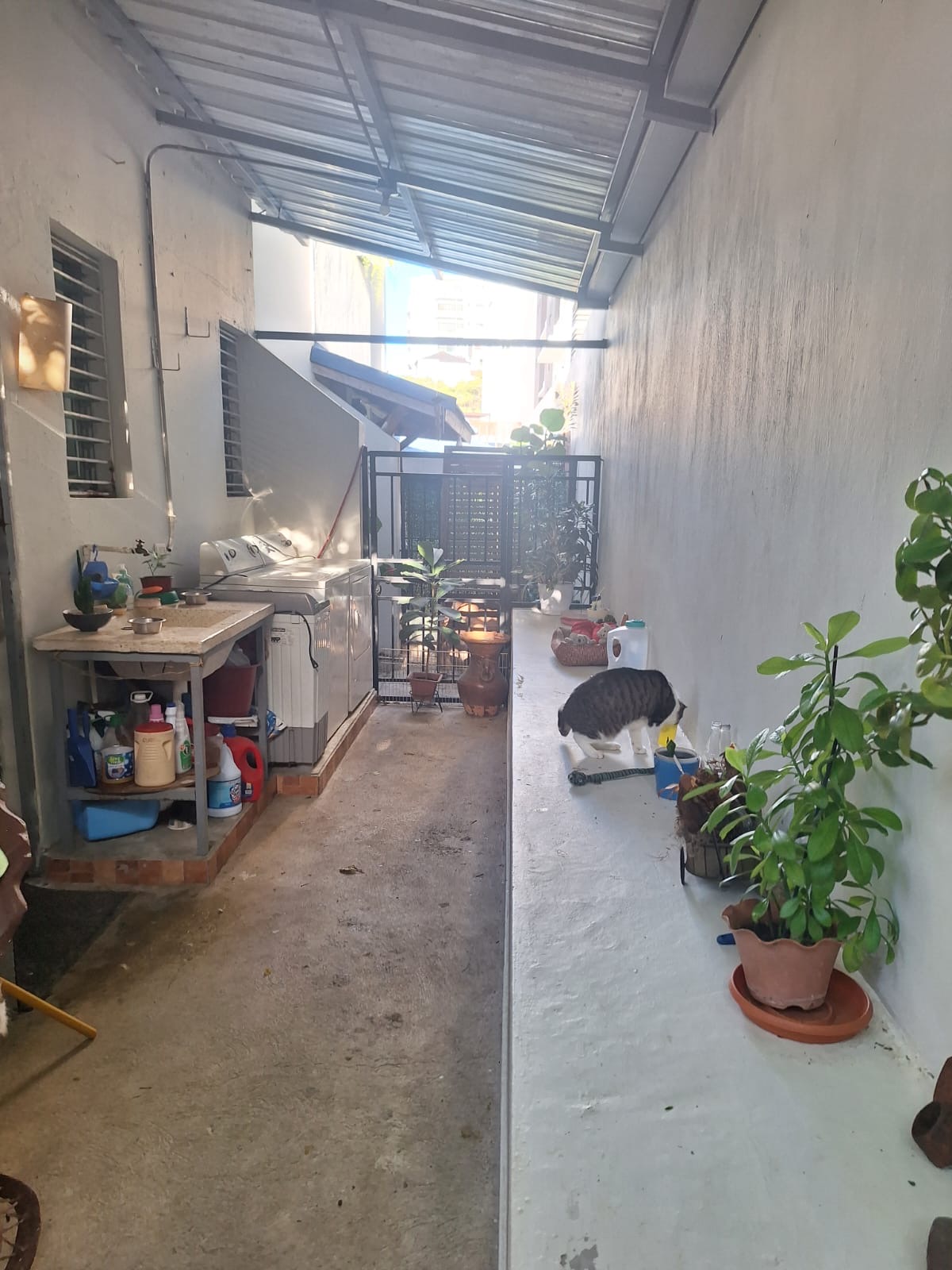 apartamentos - Venta de apartamentos  5
