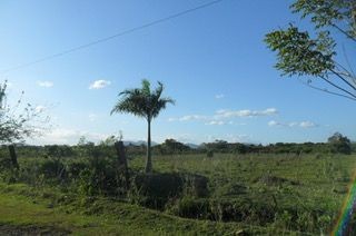 solares y terrenos - Solar en venta en Km. 22 cerca del Merca Santo Domingo. 4