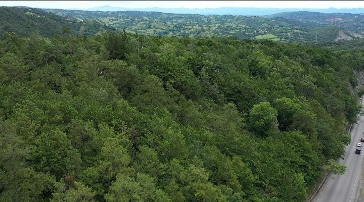 solares y terrenos - Terreno 46,151Mts2 Listo para el Desarrollo en Jarabacoa  1