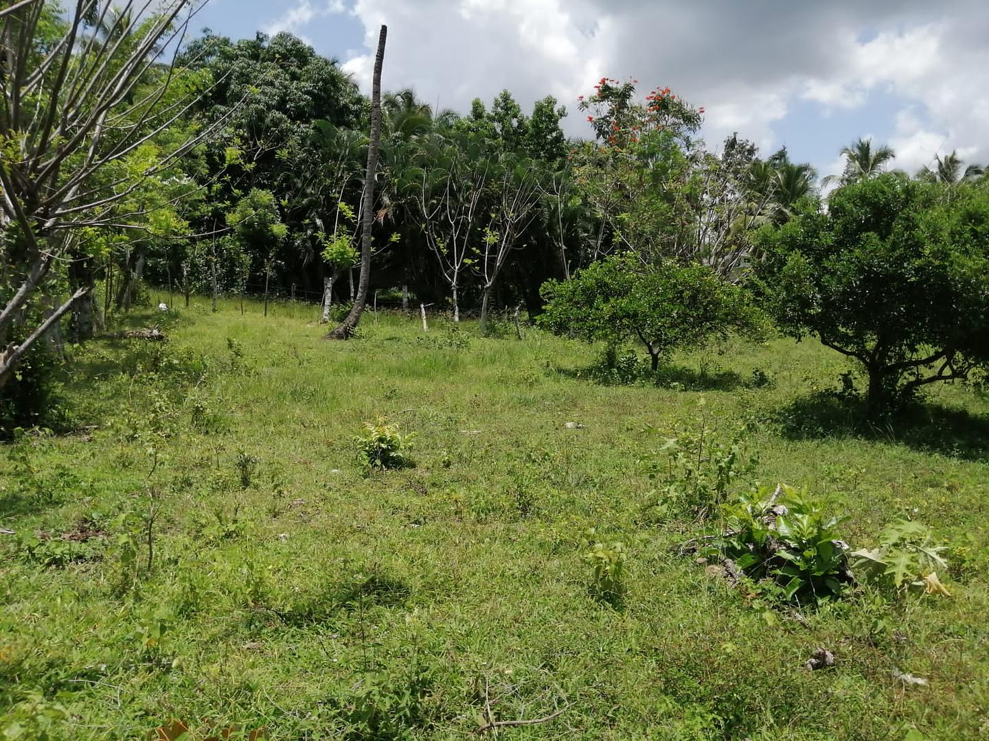 solares y terrenos - VENDO TERRENOSolo compradores serios 3