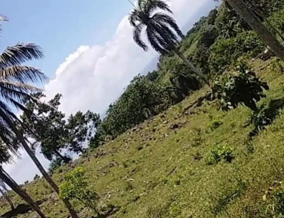 solares y terrenos - Se vende terreno en Samaná 3