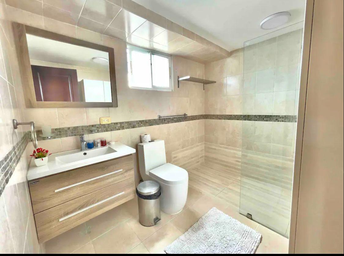 apartamentos - Apartamento en alquiler en Piantini 7