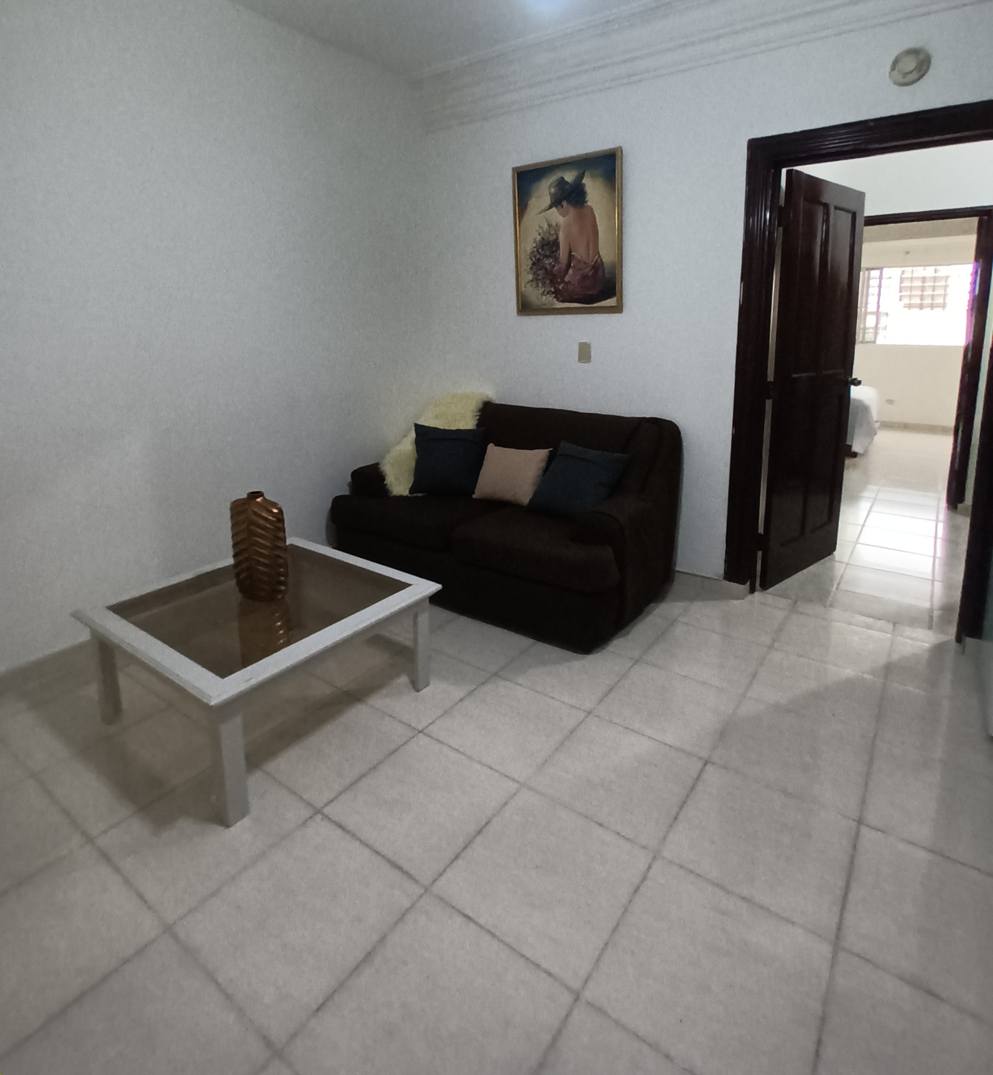 apartamentos - Amueblado Gazcue Centro 2