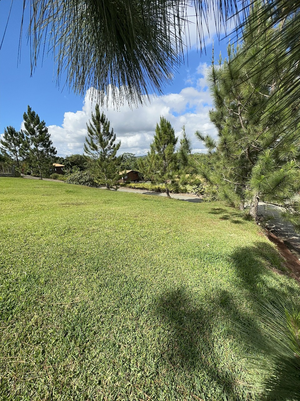 solares y terrenos - VENTA DE SOLAR EN JARABACOA 5