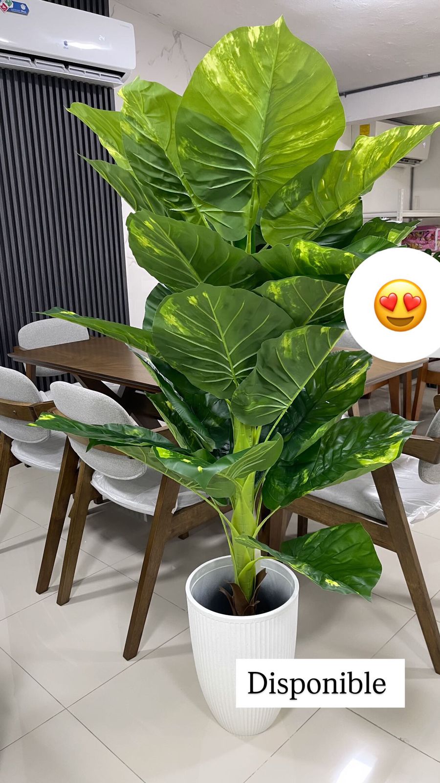 muebles y colchones - PLANTAS 