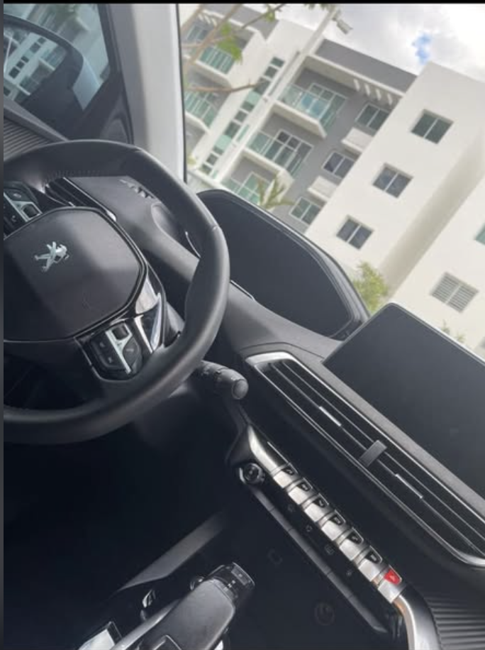 jeepetas y camionetas - Peugeot 3008 active 2022 1