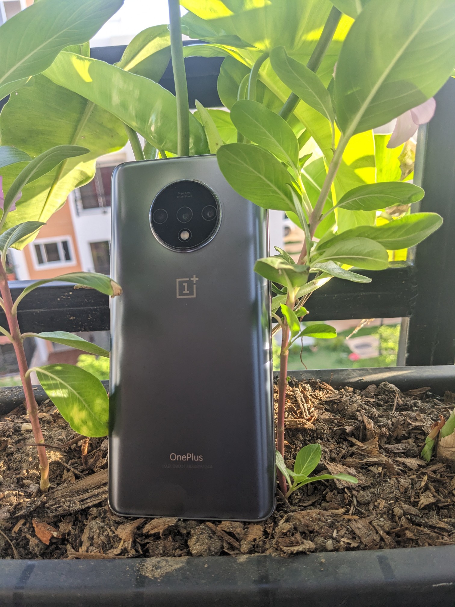celulares y tabletas - One plus 7T 1