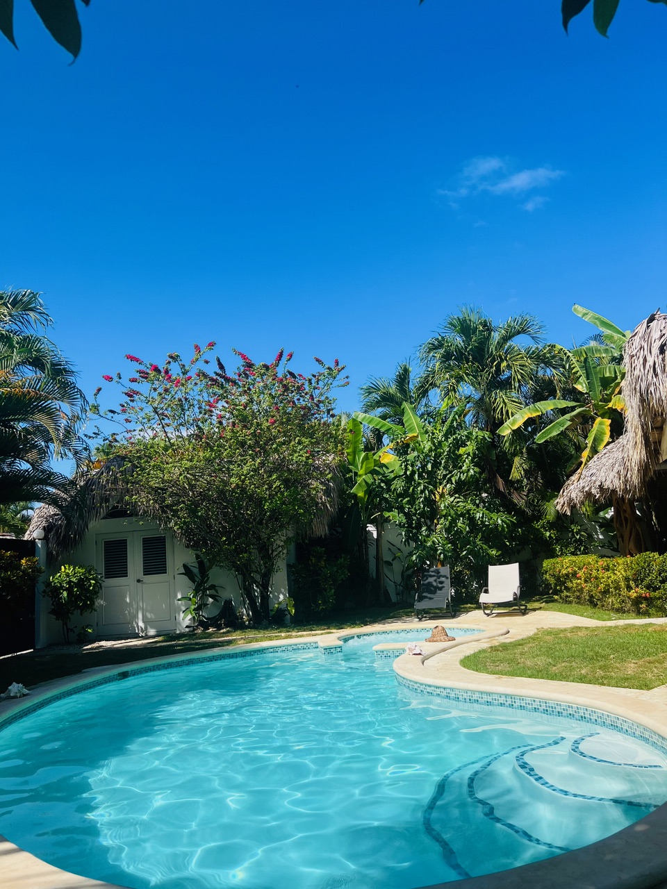 casas vacacionales y villas - 🌴 Tropical Dream Villa for Sale – Las Terrenas 7