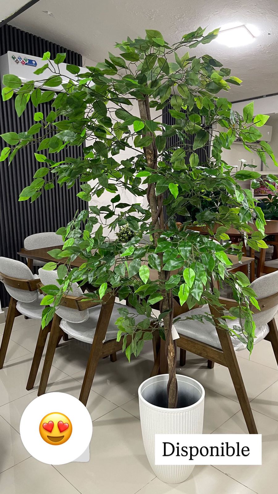 muebles y colchones - PLANTAS  1