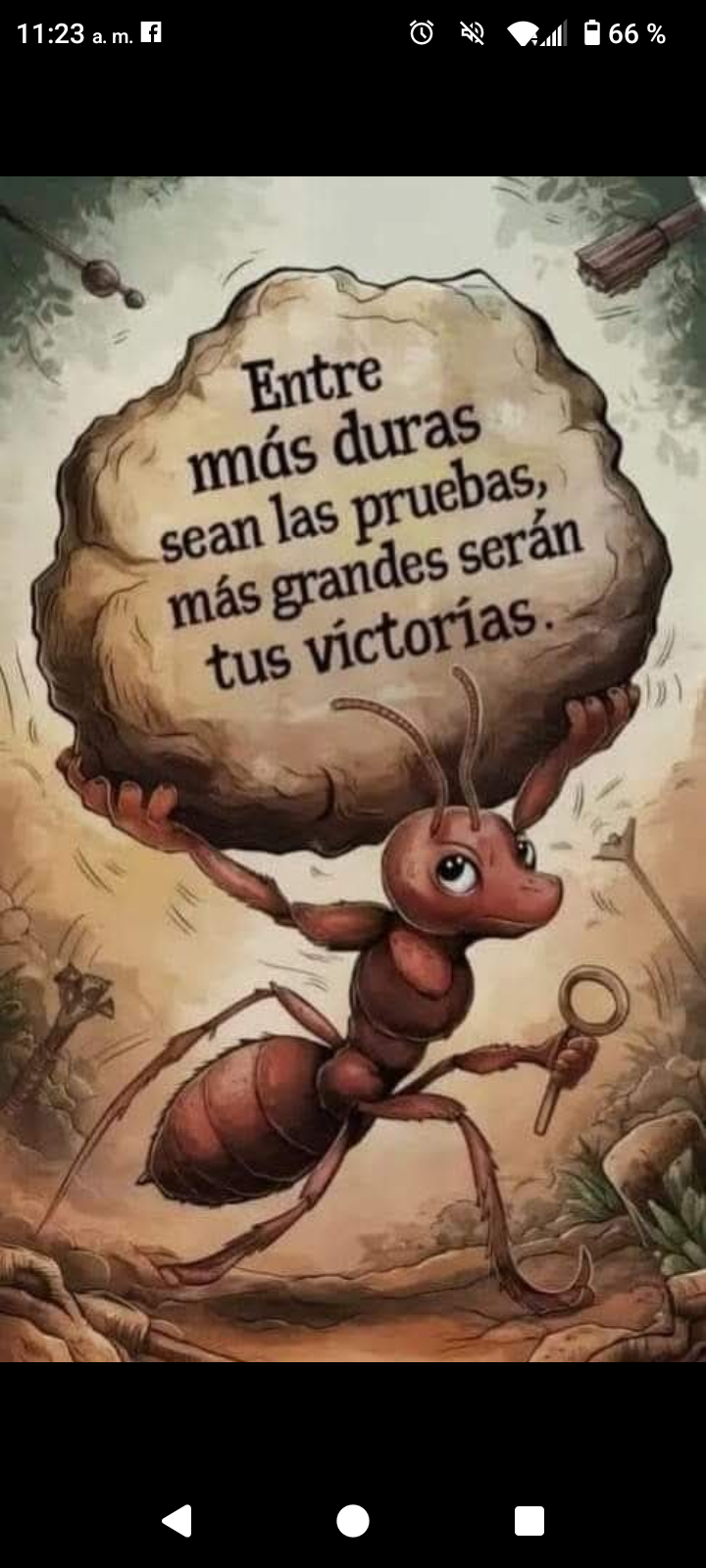 candidatos - Hola busco trabajo sin dormirda  0