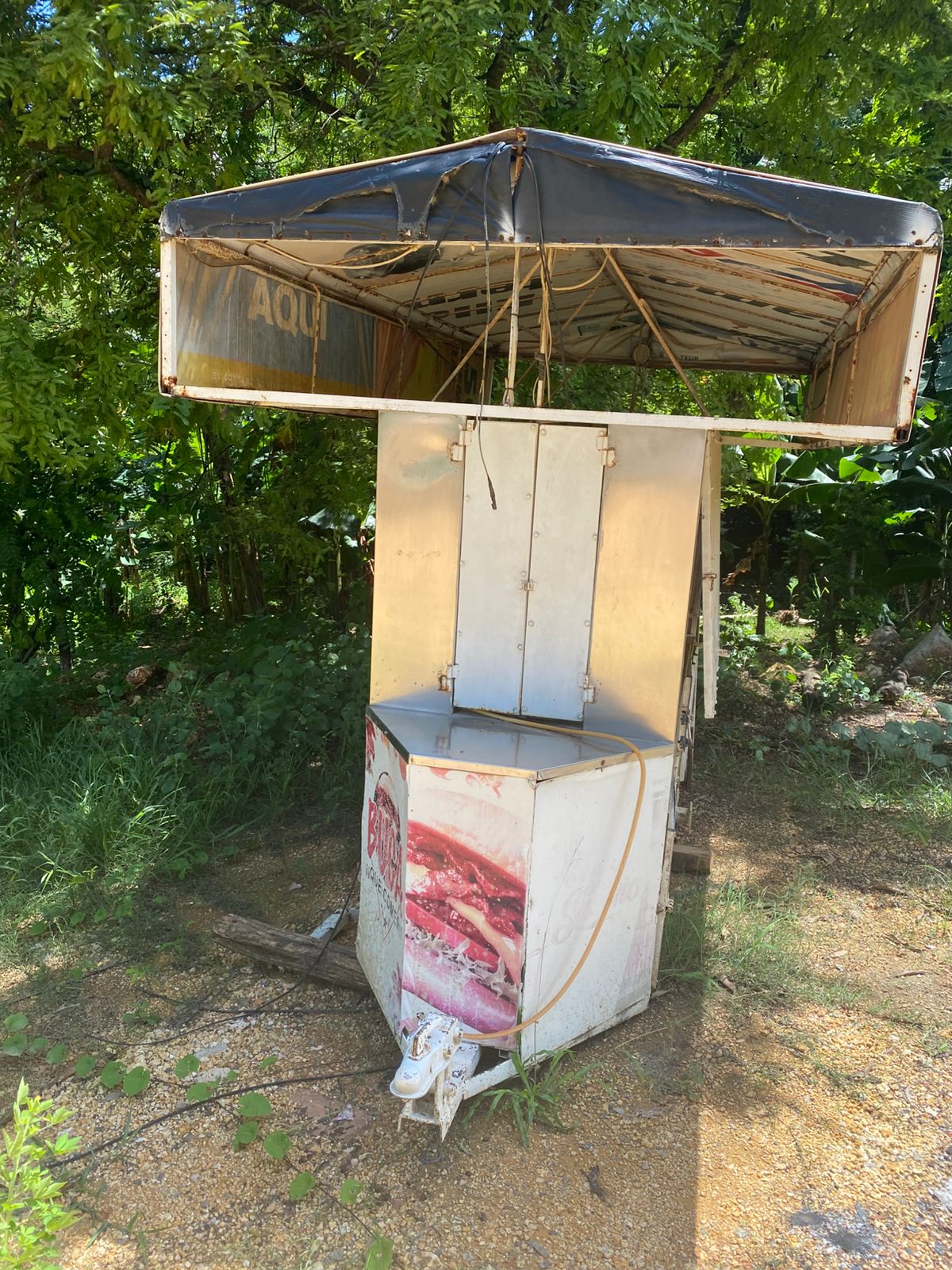 negocios en venta - Carro de chimi y mas 2