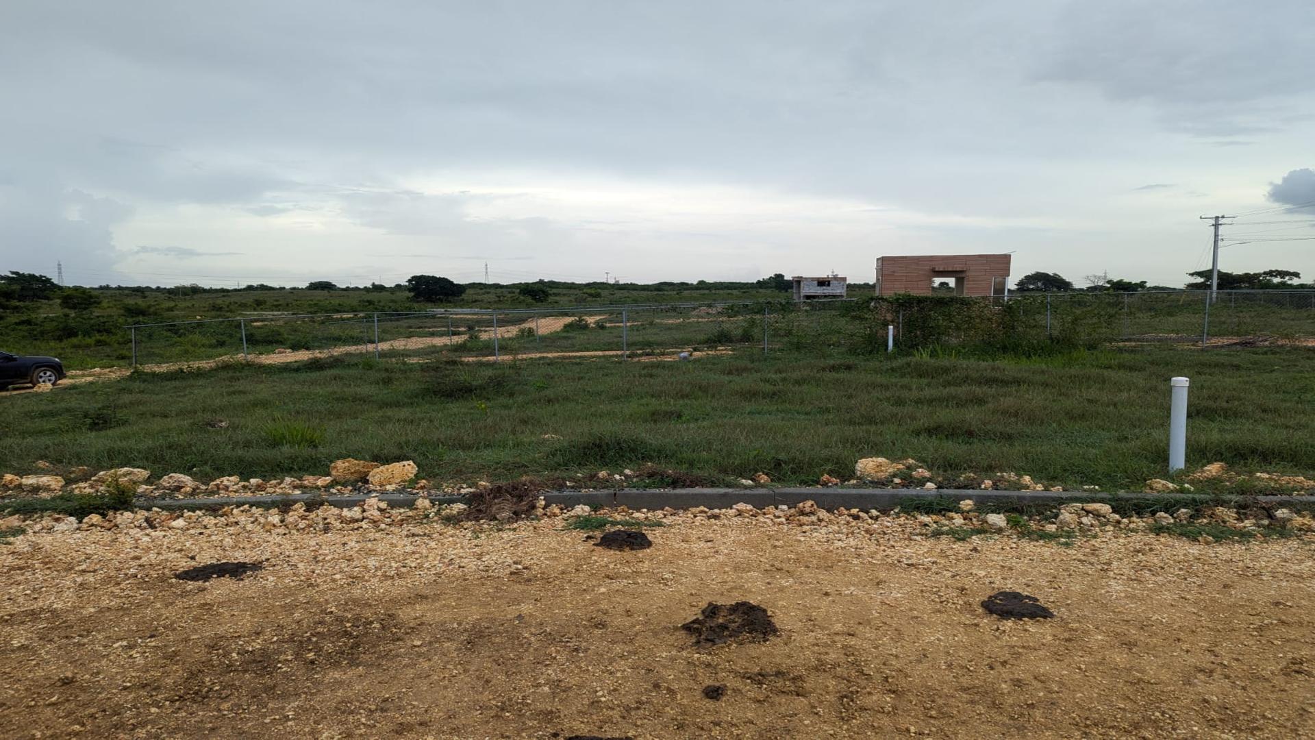 solares y terrenos - terreno en venta en Boca Chica 3