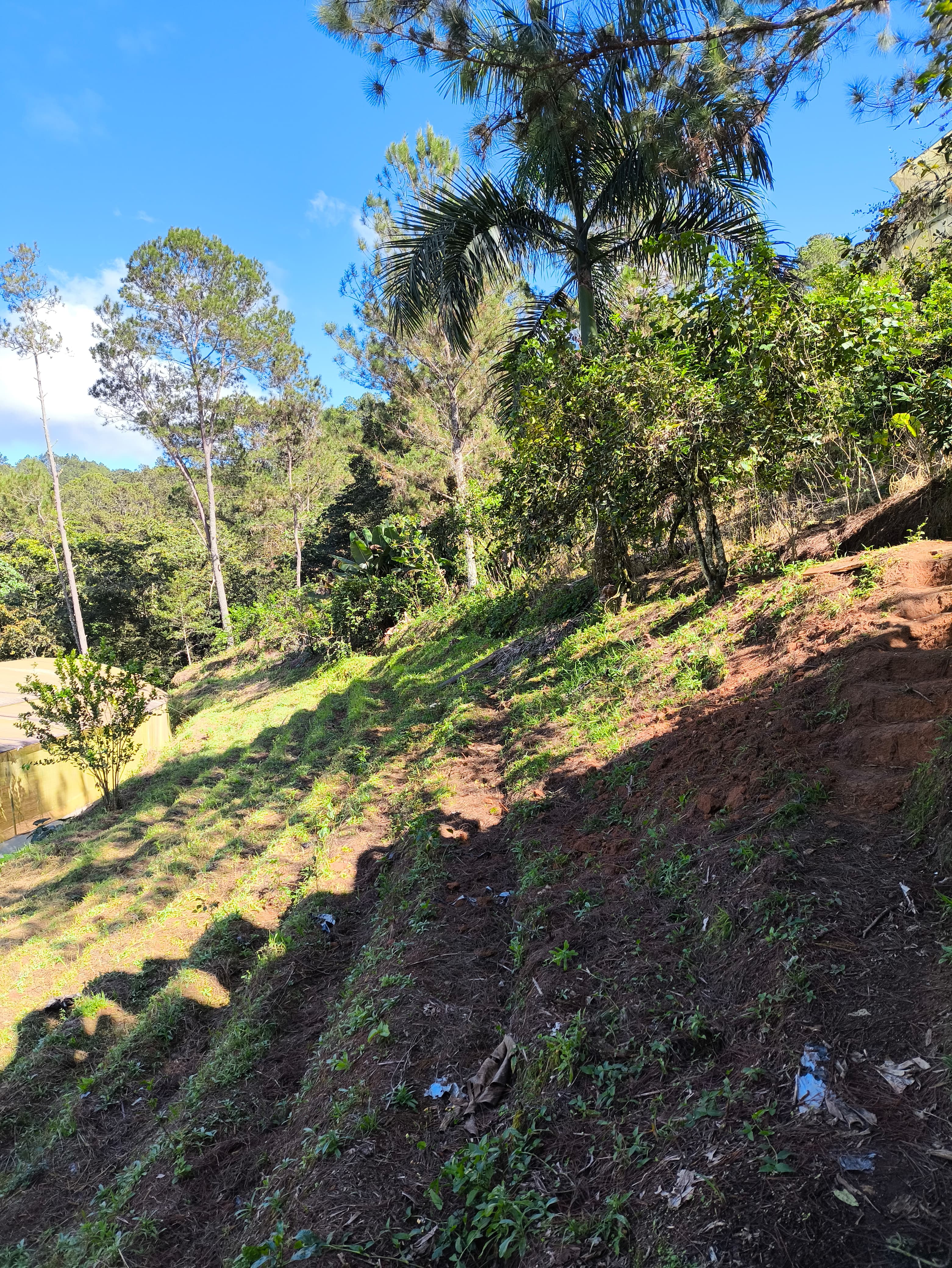 solares y terrenos - Se Vende Terreno en Jarabacoa, Los Dajaos