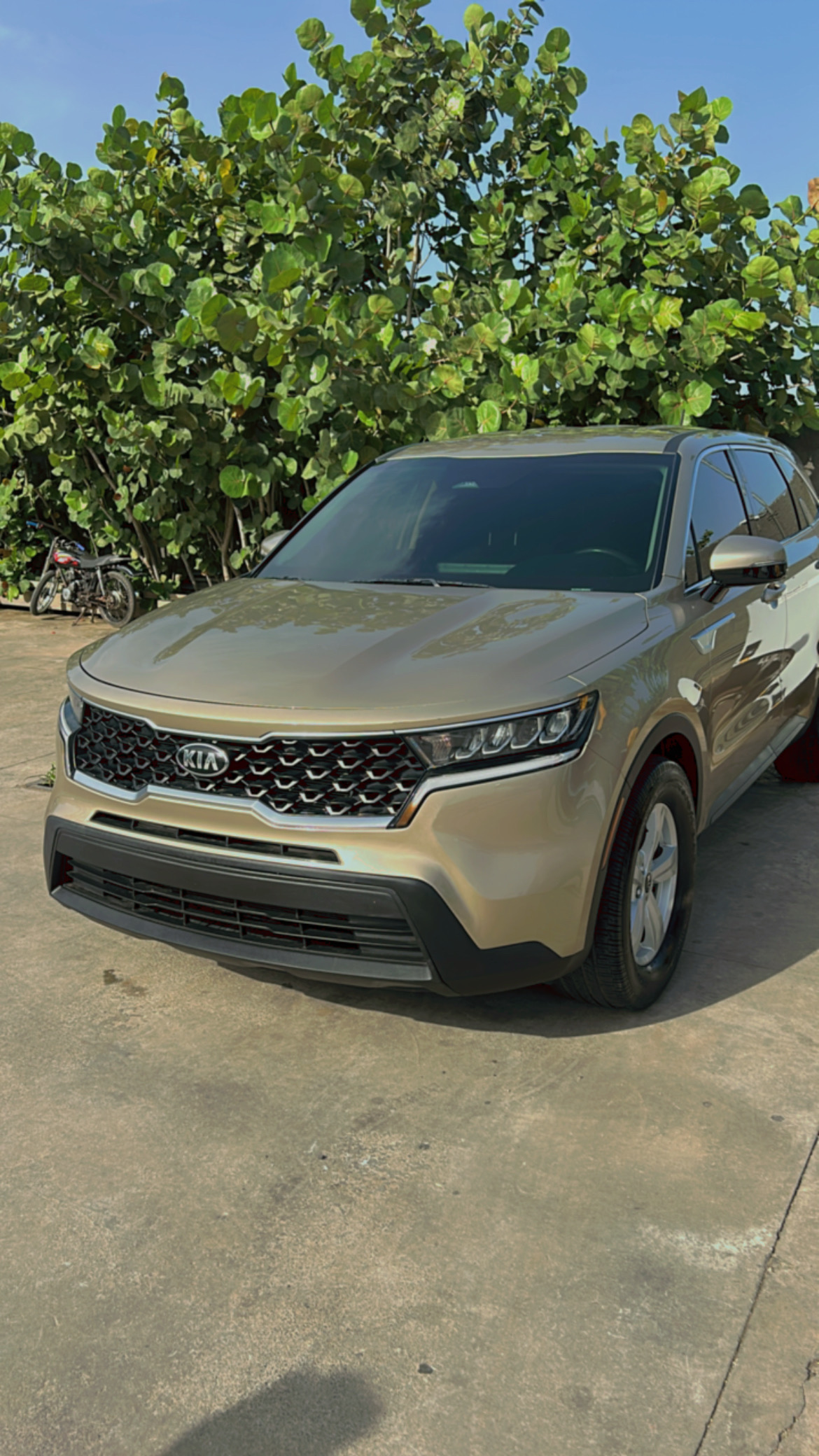 jeepetas y camionetas - kia sorento LX 2022 2