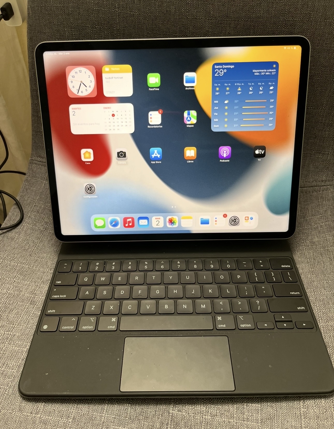 celulares y tabletas - IPad Pro 0