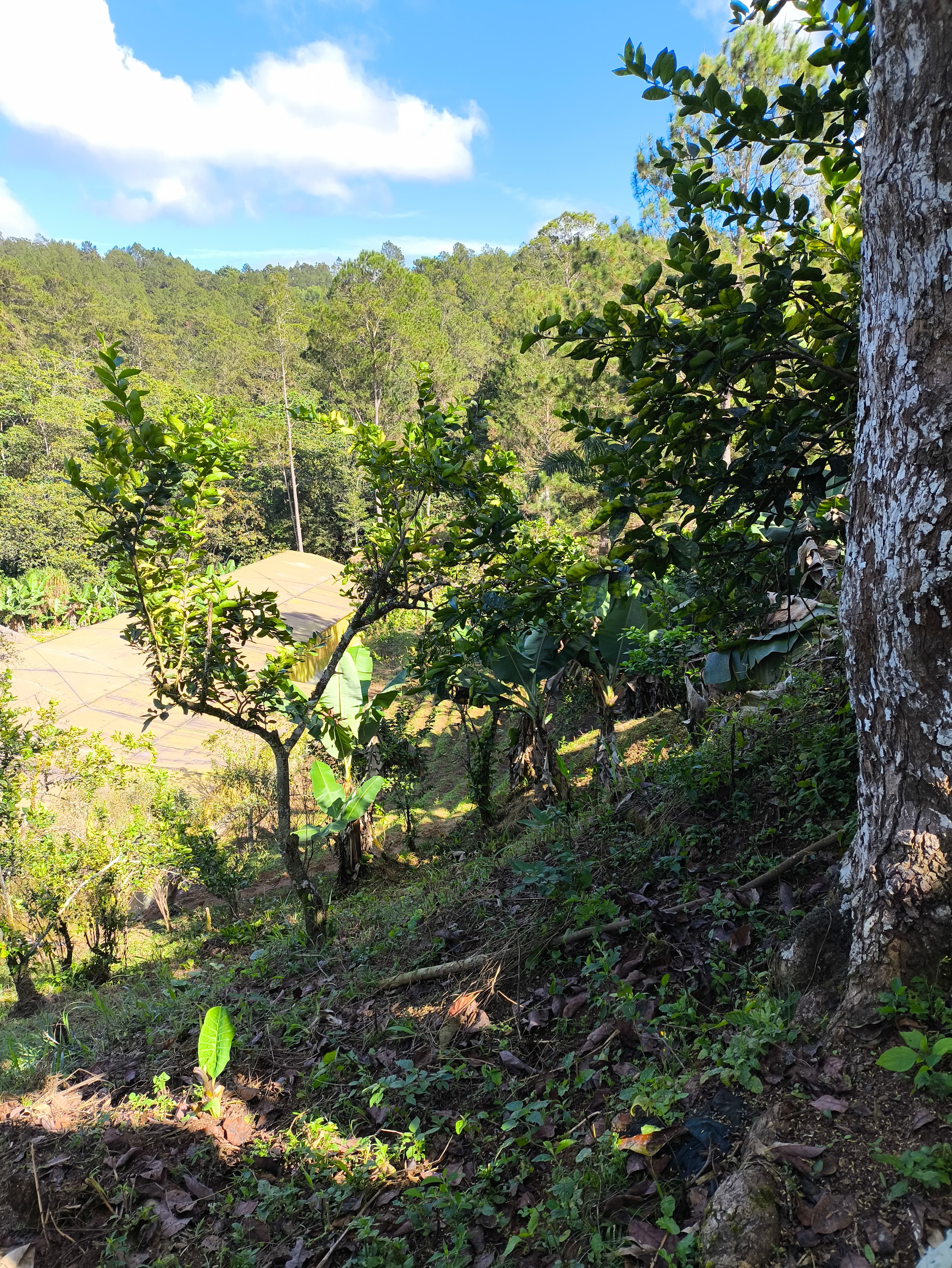 solares y terrenos - Se Vende Terreno en Jarabacoa, Los Dajaos 1
