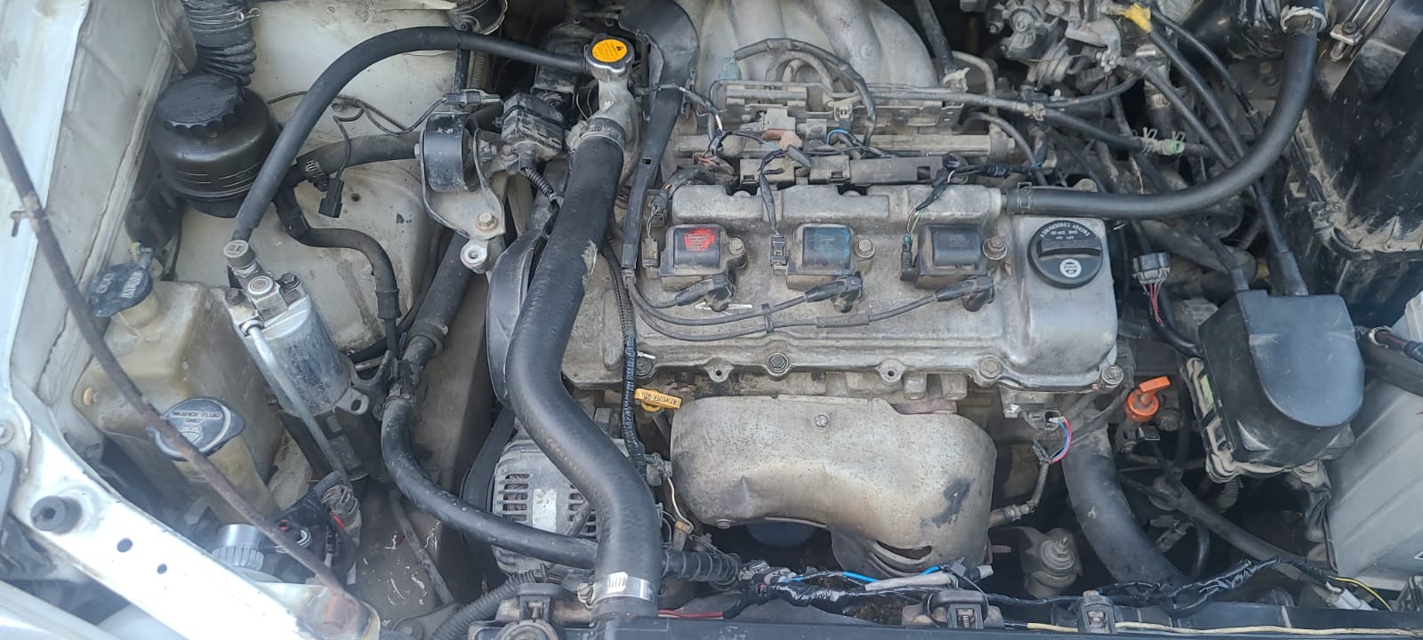 jeepetas y camionetas - Toyota sienna xl 2,000 8