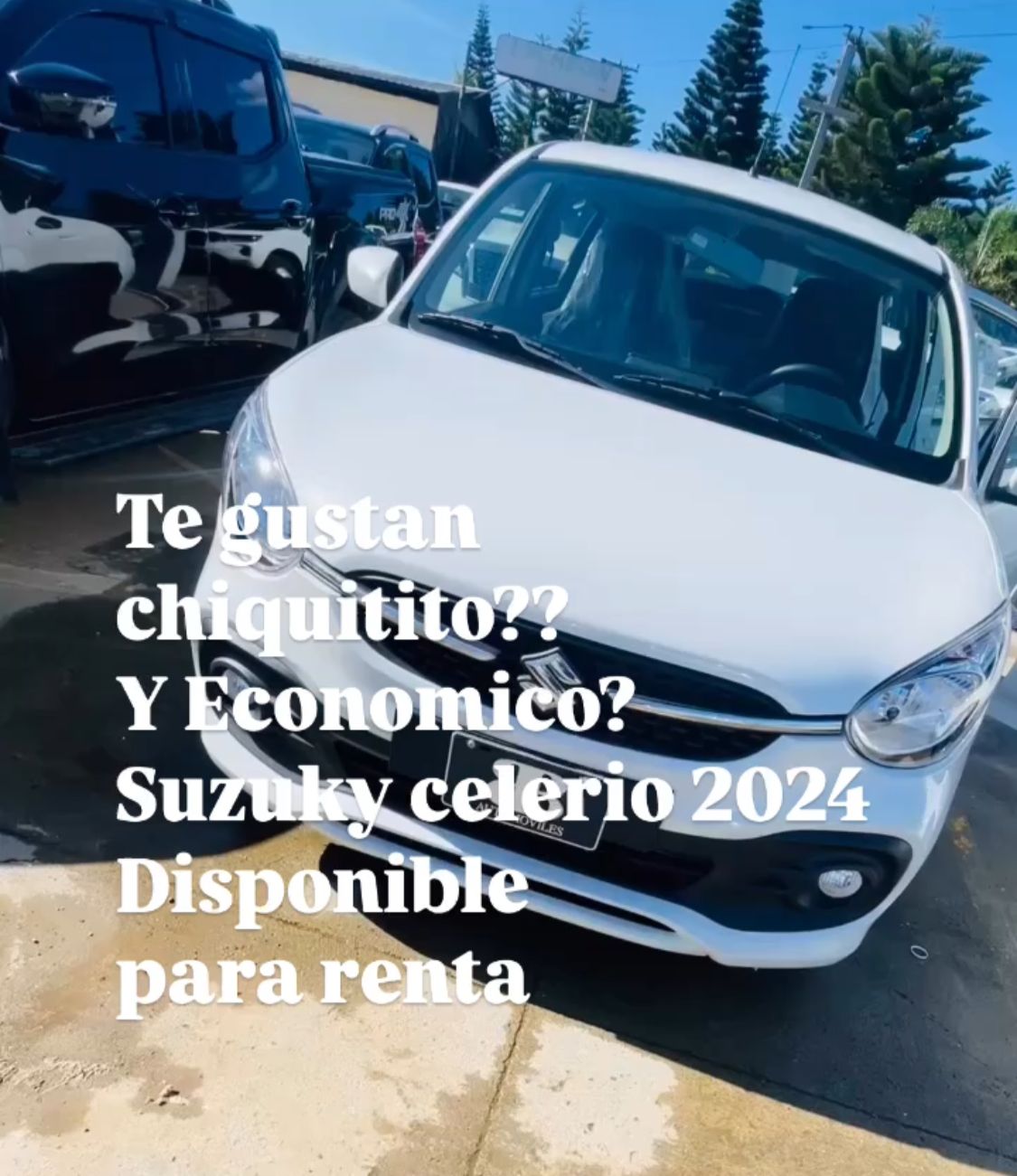 servicios profesionales - Alquiler de carro para uber/indrived con pagos semanales  1
