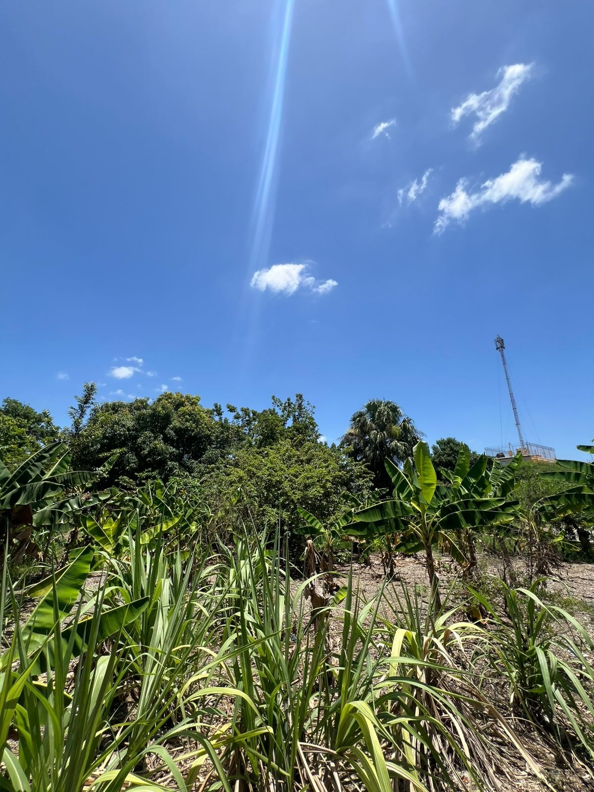 solares y terrenos - Terreno de Venta en Villa Olimpica  6