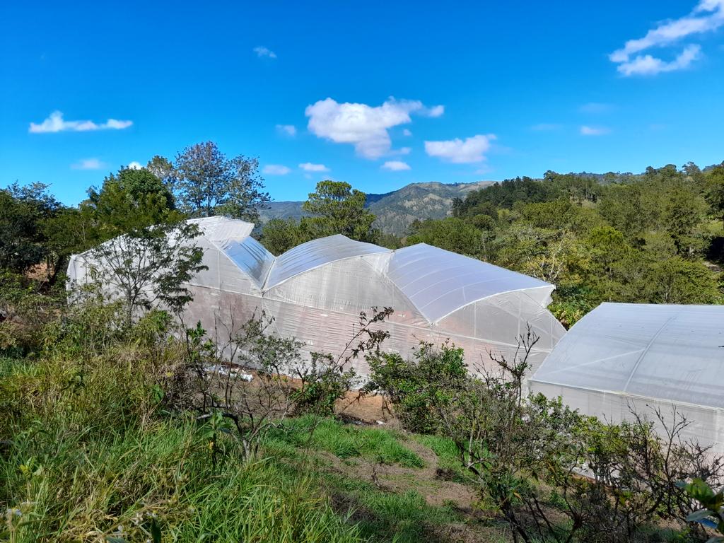 solares y terrenos - Se Vende Terreno en Jarabacoa, Los Dajaos 2
