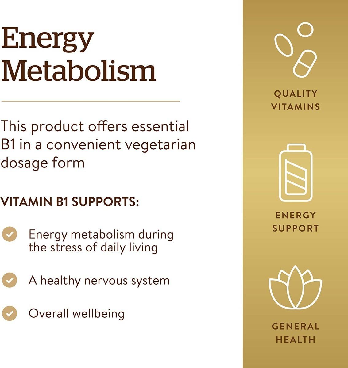 Salud y Equipamiento Médico - Vitamina B1 Tiamina 500 Mg Super Potencia 100 Tabletas 4