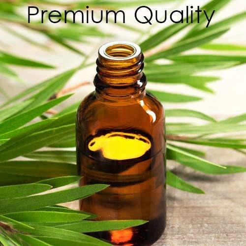 Salud y Equipamiento Médico - Aceite Esencial De Arbol De Te Grado Terapeutico 4 Onzas 1