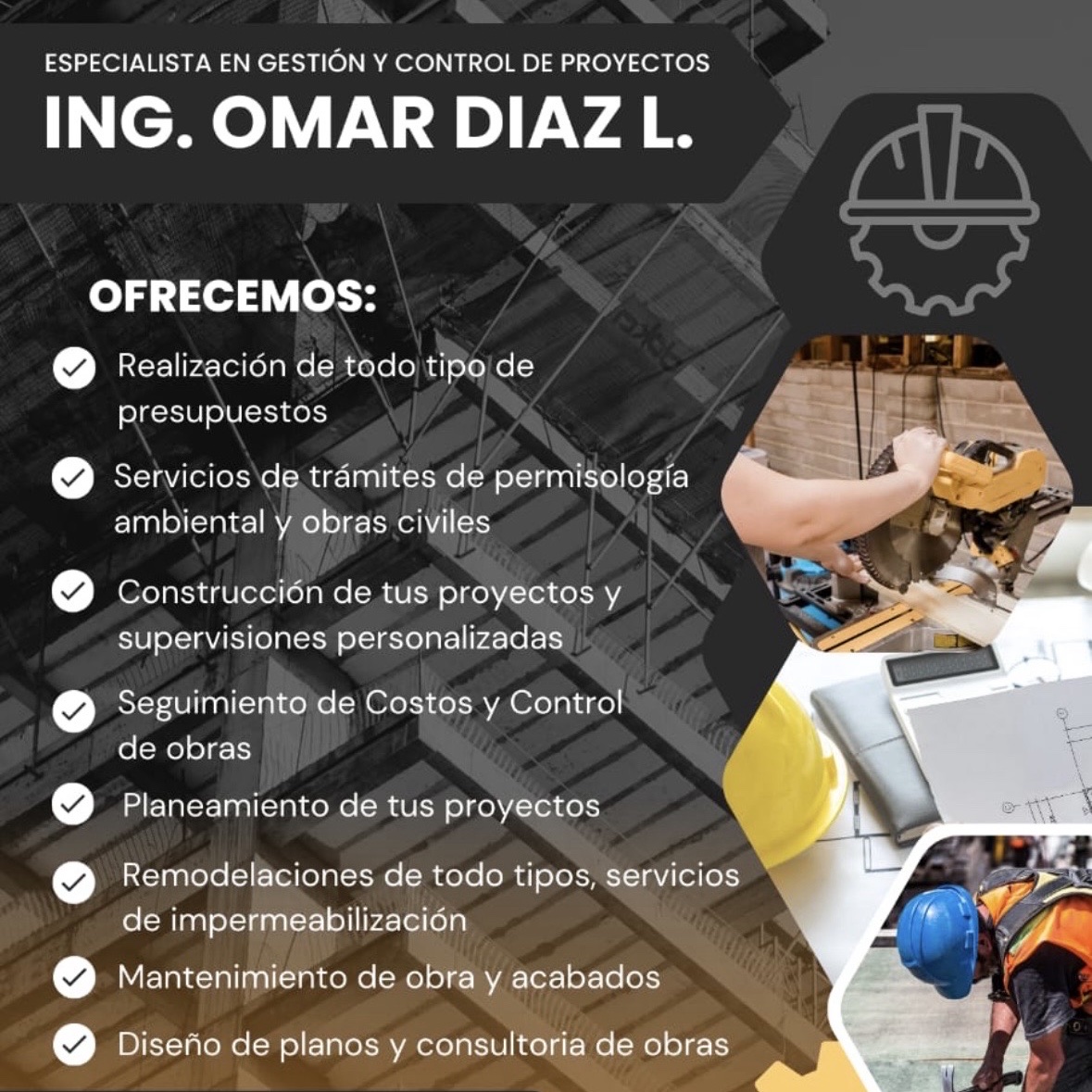 servicios profesionales - Servicios de ingeniería  0