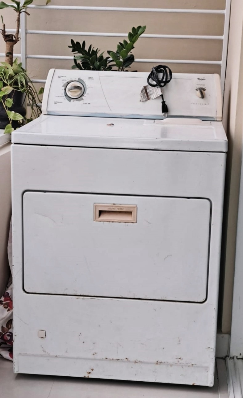 electrodomesticos - Secadora a Gas 30 libras 
