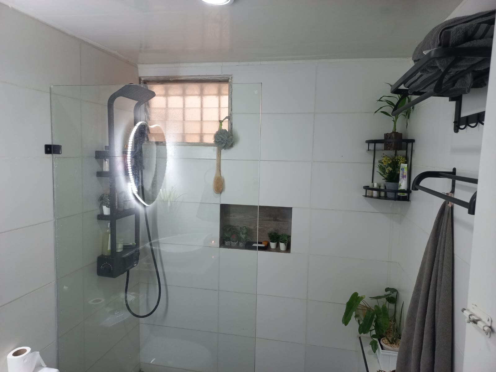 apartamentos - Se rentan dos apartamentos Bella vista AMUEBLADO 6