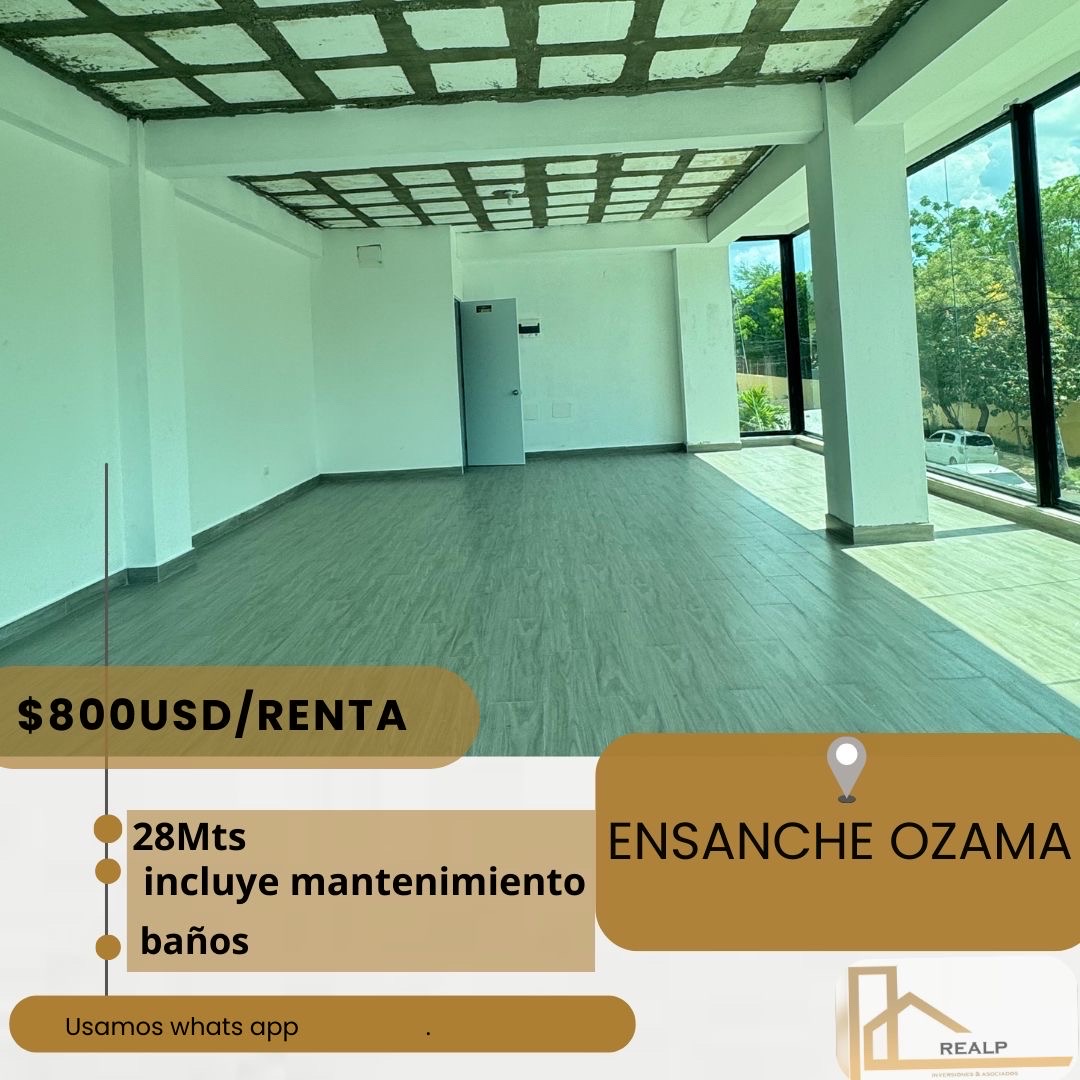 oficinas y locales comerciales - local comercial 