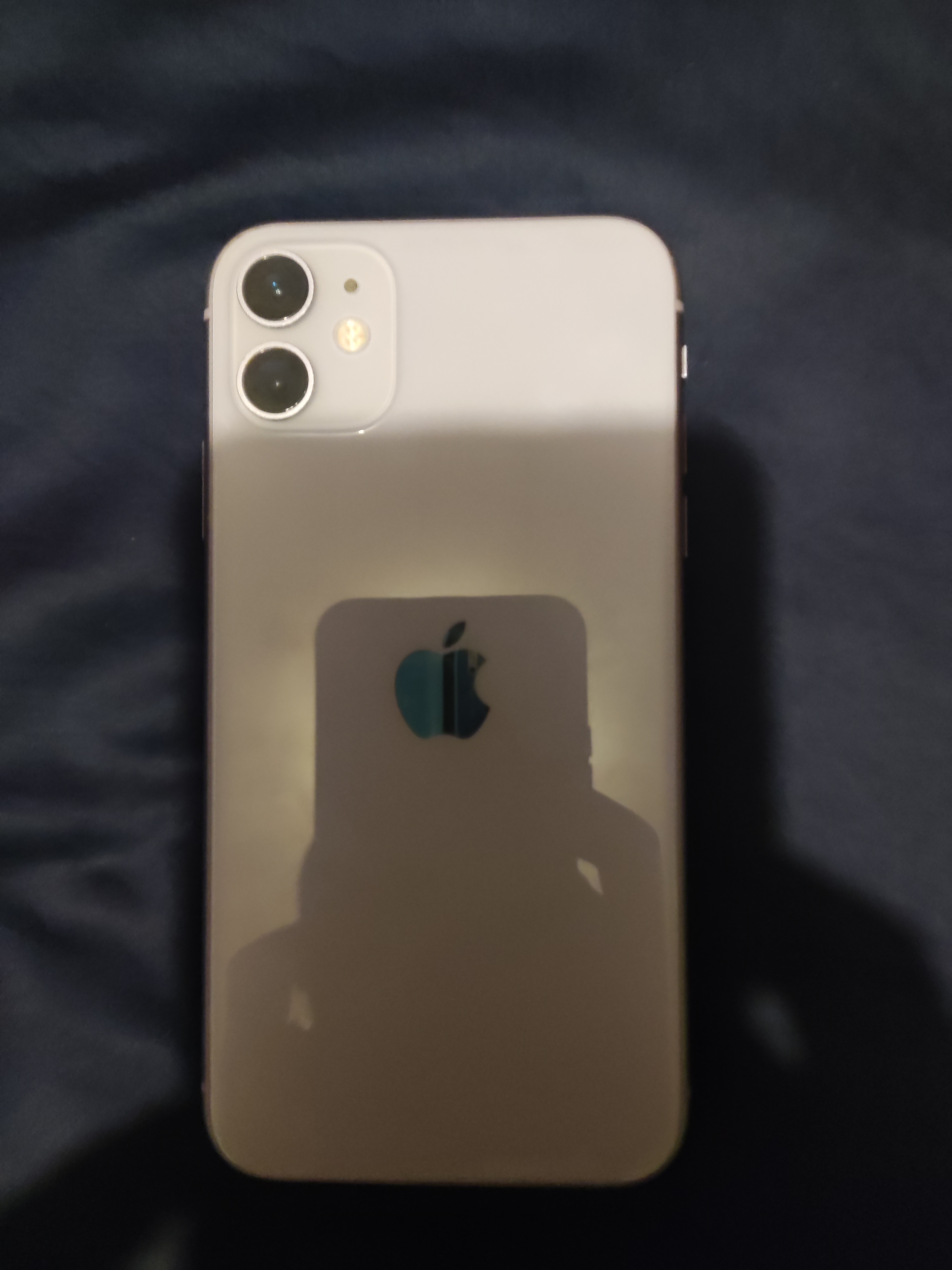 celulares y tabletas - iPhone 11 Normal Morado 256GB Chip Físico y eSIM. 11,790 Negociable. 4