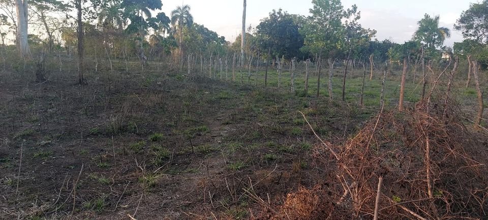 solares y terrenos - Terreno 1