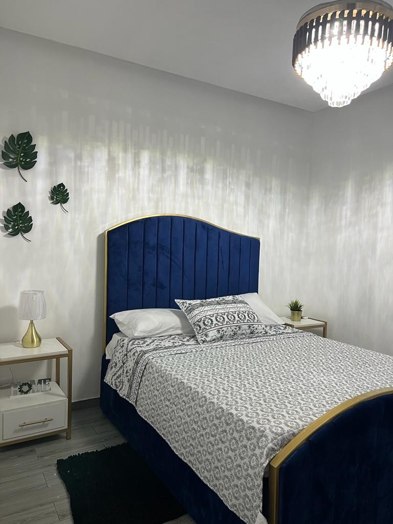 apartamentos - Propiedad comercial en venta, ubicada en Ciudad Nueva, Santo Domingo 6
