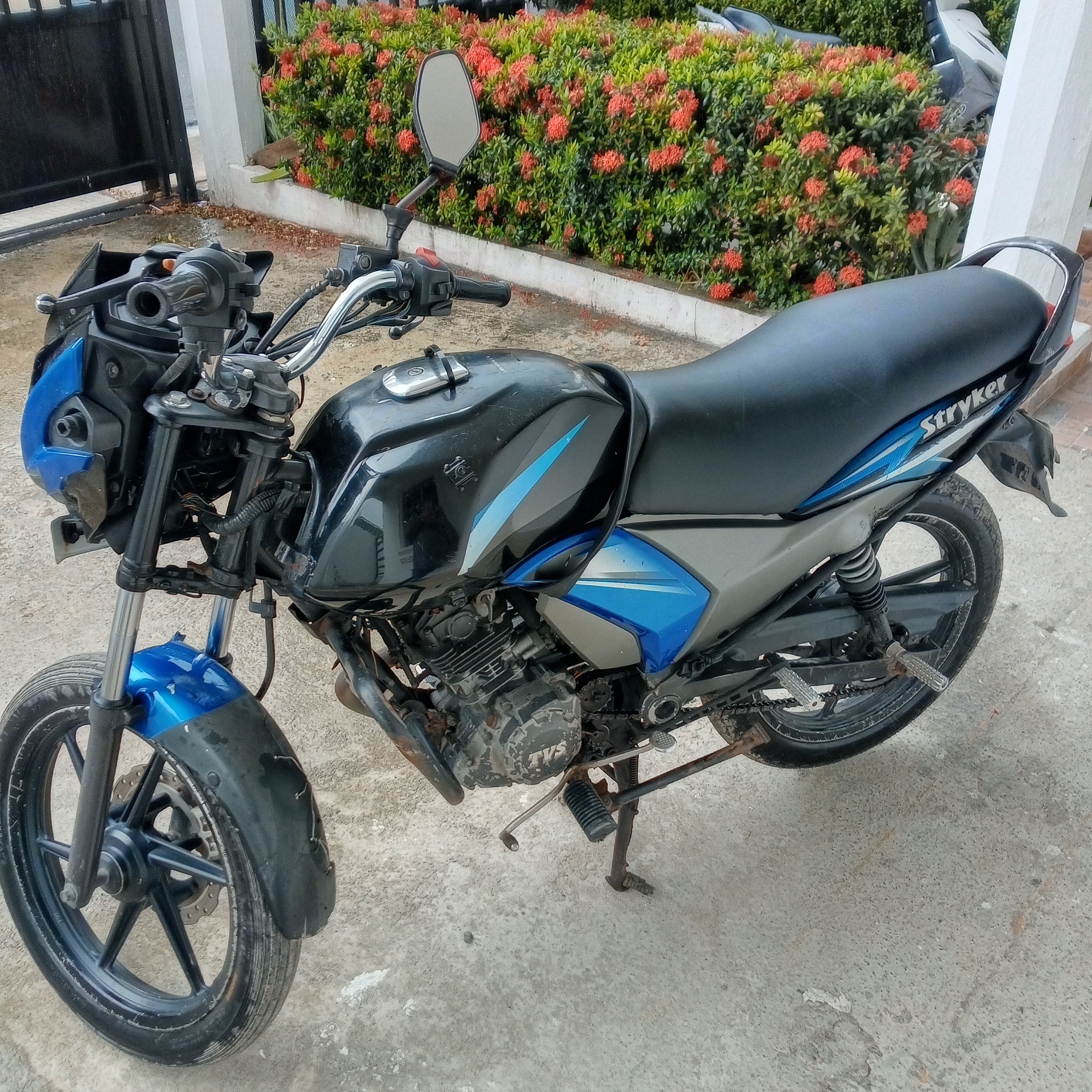 motores y pasolas - Stryker 125 TVS 2