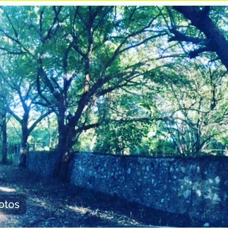 solares y terrenos - Terreno Juan Dolio Autovia del Este
 4