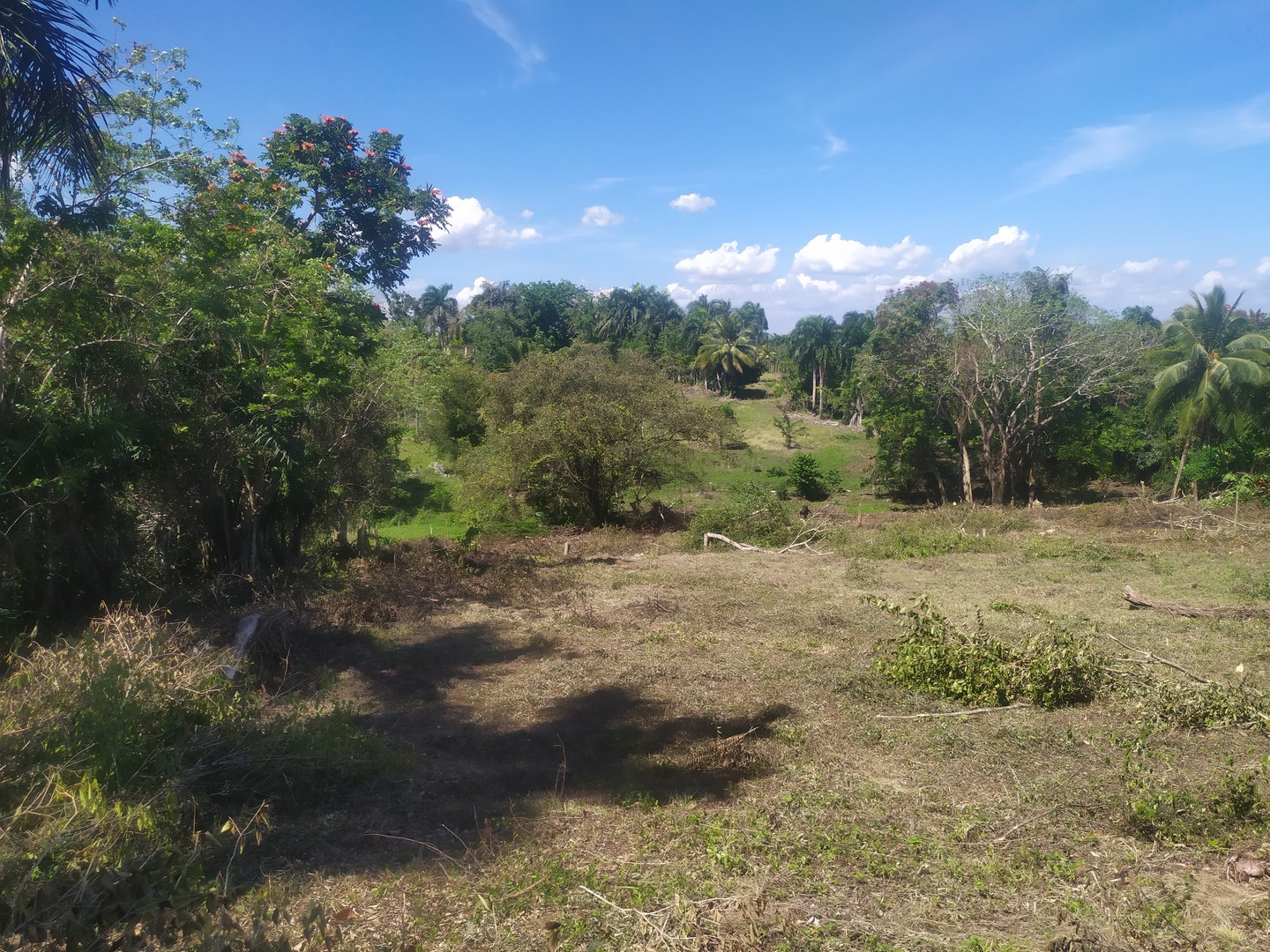 solares y terrenos - Vendo propiedad de 10 tareas de tierra con certificado de título 0