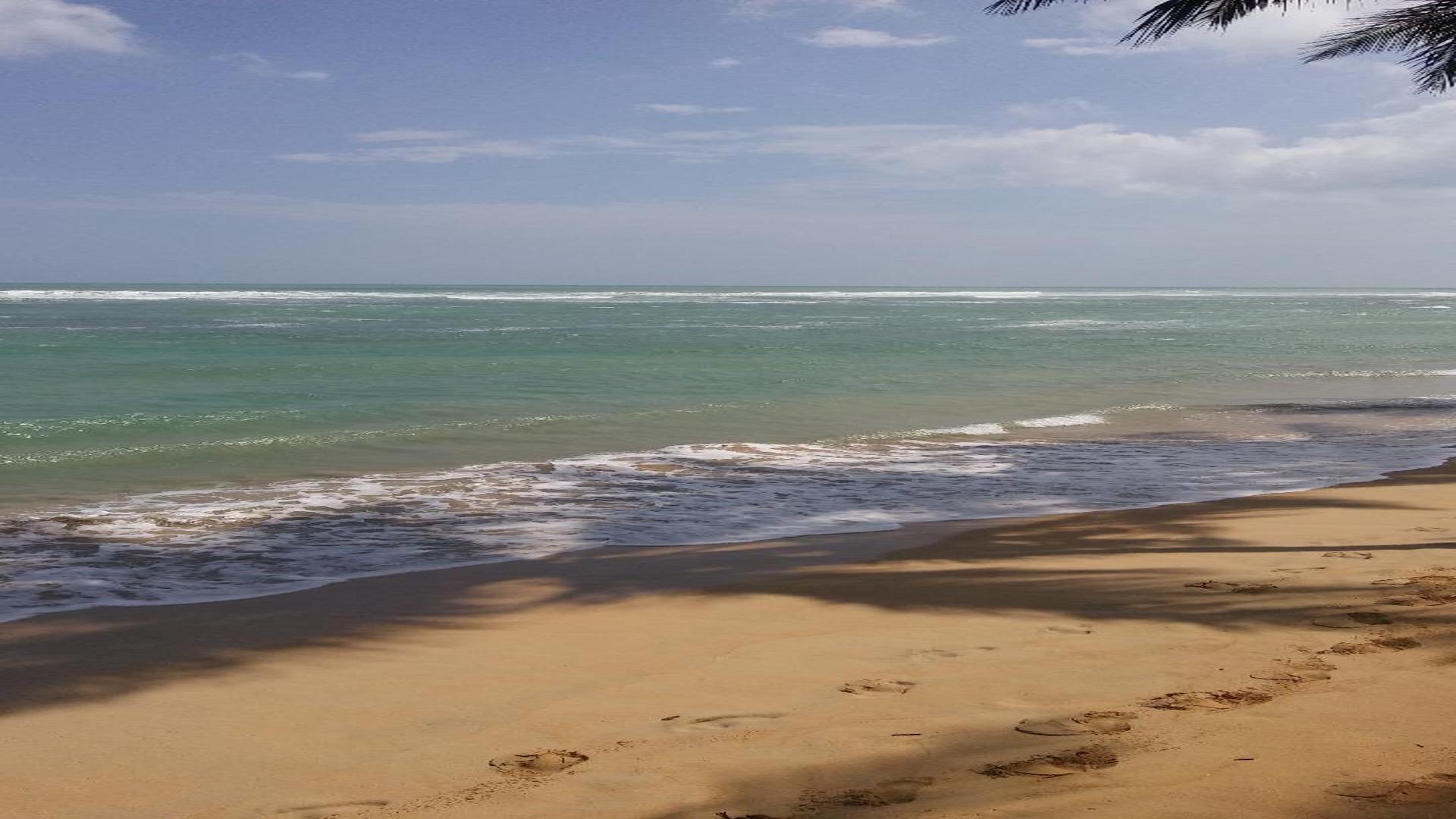 solares y terrenos - VENDO en primera linea de playa, Uvero Alto 1