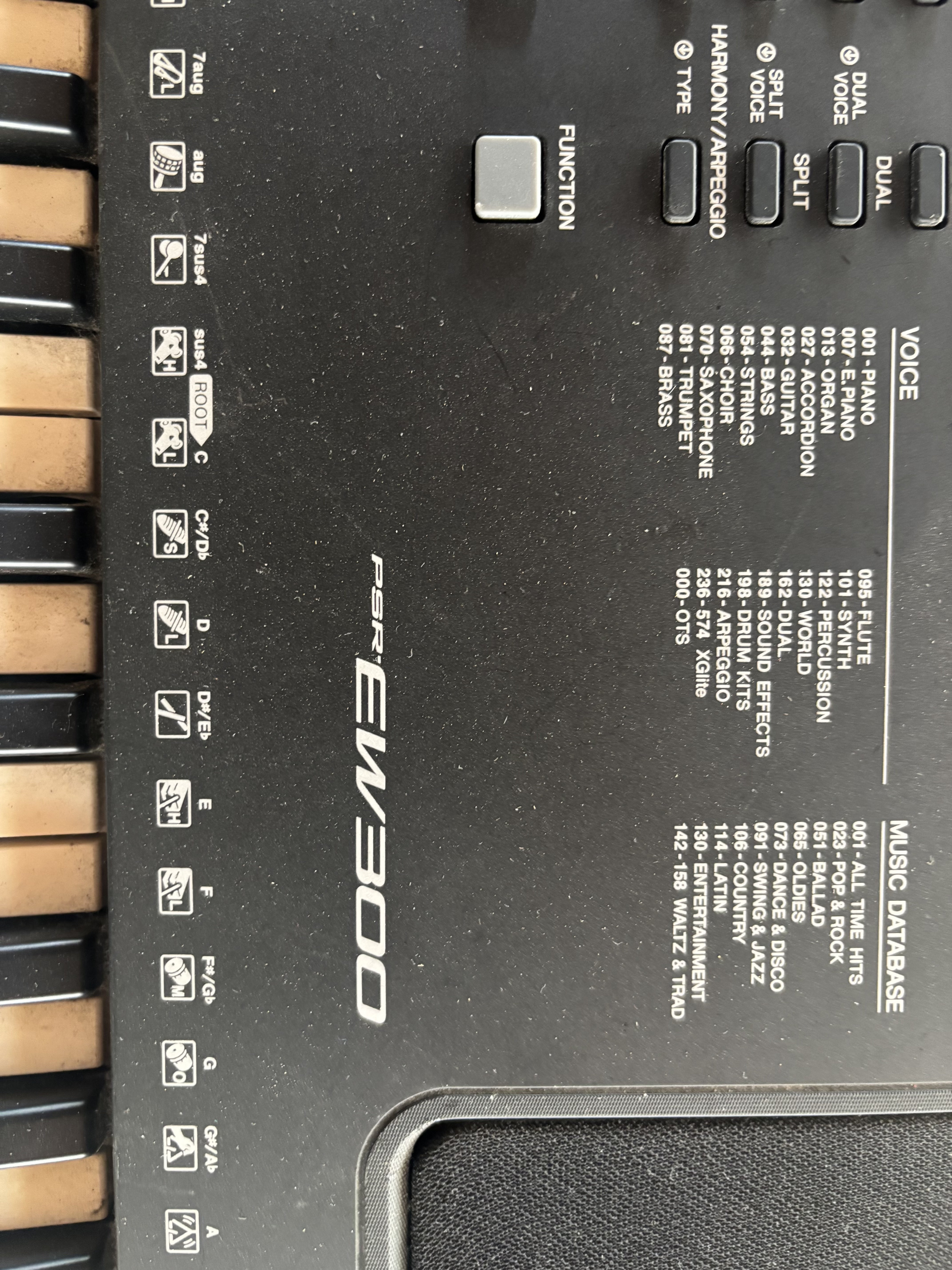 instrumentos musicales - Piano Yamaha EW300 1