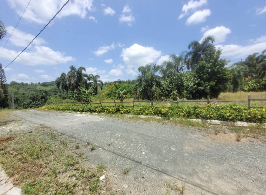 solares y terrenos - Vendo Solar de 1,200 mt2 en Villa Altagracia 4