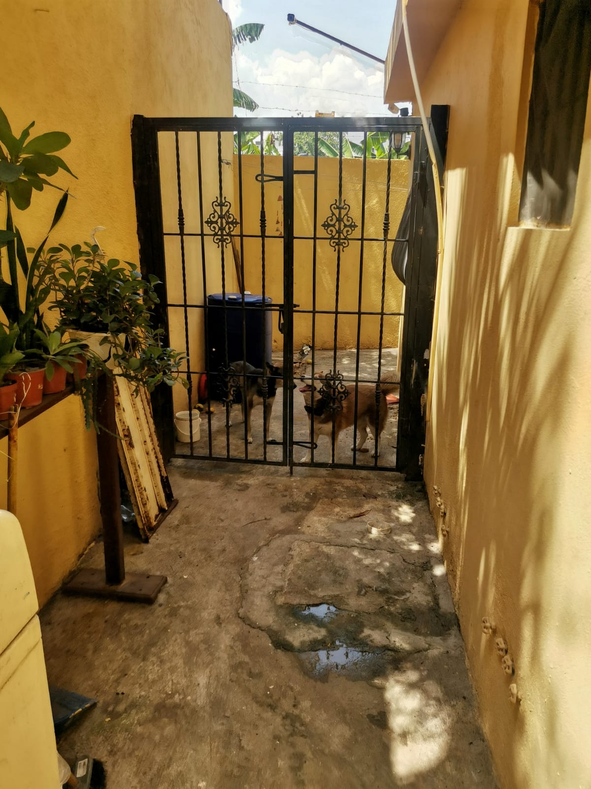 apartamentos - venta Apartamento 120mts 3